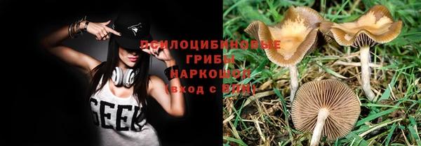 COCAINE Майский